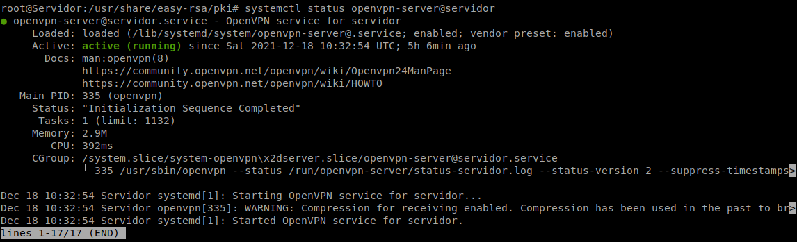 openvpn2_estadoservidor.png