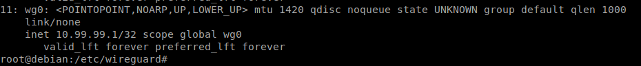 wireguard1_interfaz_servidor.png